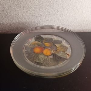 GORGEOUS Arcoroc France 8" Painted Clear Plates Set of 4.